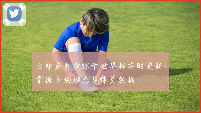 立即查看懂球帝世界杯实时更新，掌握全场动态与球员数据