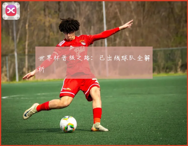 世界杯晋级之路：已出线球队全解析